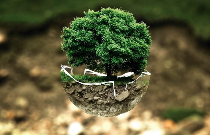 environmental-protection-683437_1280 environmental-protection-683437_1280